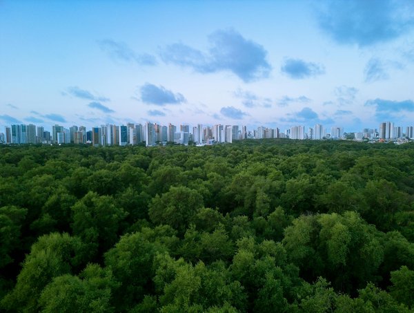 Comment organiser avec succès une compétition artistique de dessin dans les écoles de votre région : un guide pratique