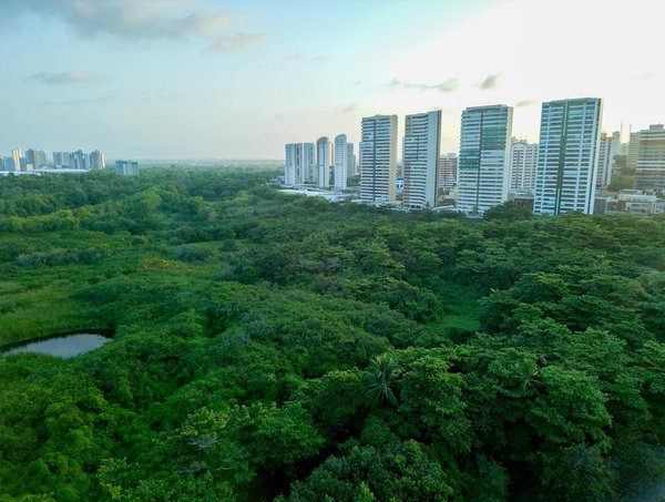 Préserver les joyaux de la céramique : défis cruciaux et solutions innovantes